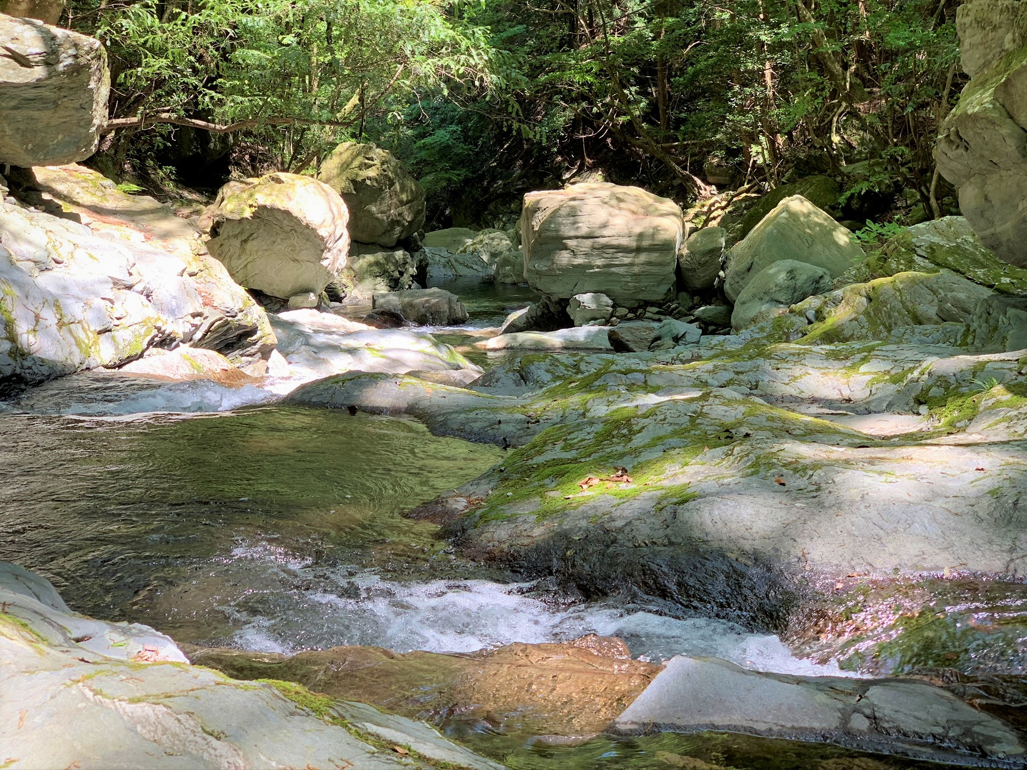 浜松市天竜区のパワースポット『白倉峡』でリフレッシュ とれタビ